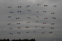 Bristol2008-068