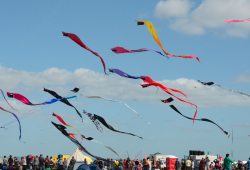 bristol2013-049