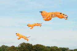 bristol2013-070