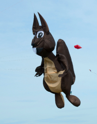 bristol2013-076