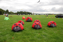 CastleHoward2008-009
