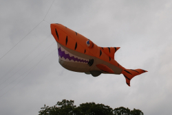 CastleHoward2008-060