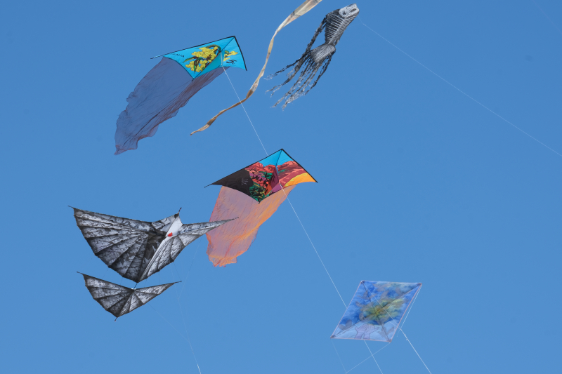 Cervia2026-013