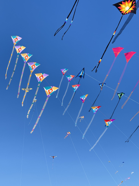 Cervia2026-032