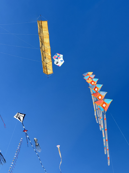 Cervia2026-034