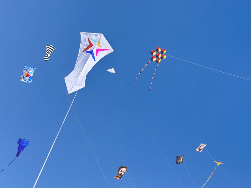 Cervia2026-046