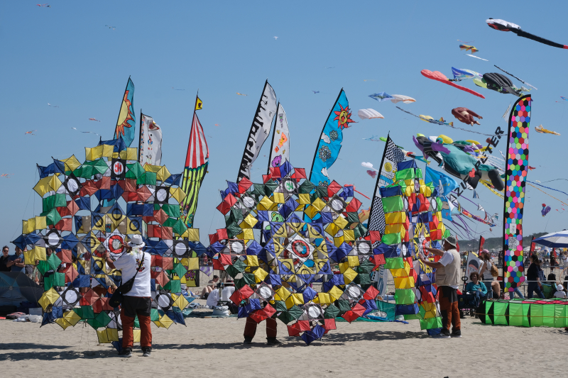 Cervia2026-049