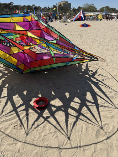 Cervia2026-062