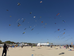 Cervia2026-019