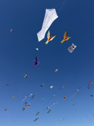 Cervia2026-020