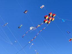 Cervia2026-030
