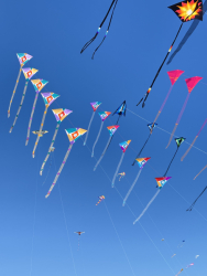Cervia2026-032