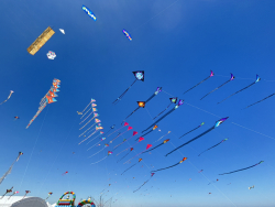 Cervia2026-033