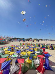 Cervia2026-037