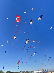 Cervia2026-038