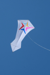 Cervia2026-047