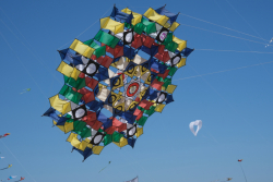 Cervia2026-058