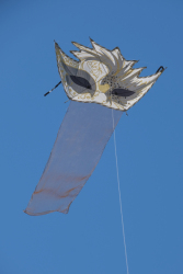 Cervia2026-065