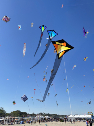 Cervia2026-080