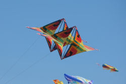 Cervia2026-095