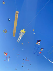 Cervia2026-099