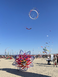 Cervia2026-103