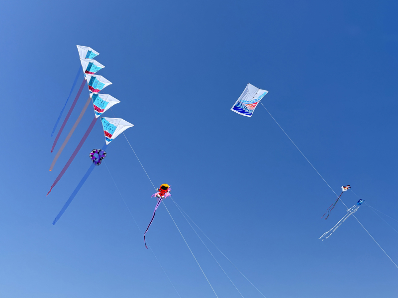 Cervia2026-222