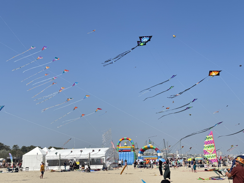 Cervia2026-224