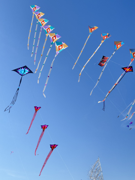 Cervia2026-270