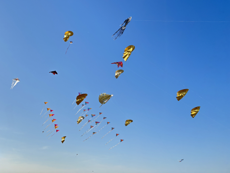 Cervia2026-298