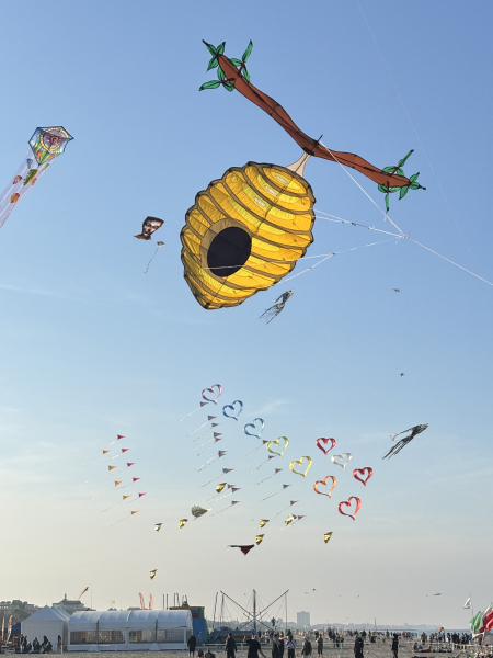 Cervia2026-309