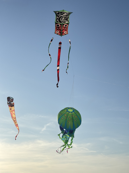 Cervia2026-310