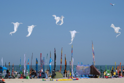 Cervia2026-228