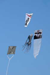 Cervia2026-238