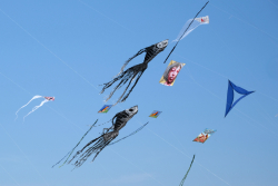 Cervia2026-239