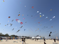 Cervia2026-242