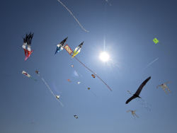 Cervia2026-243
