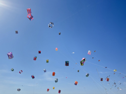 Cervia2026-262