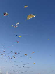 Cervia2026-265