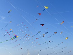 Cervia2026-268