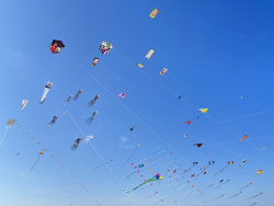 Cervia2026-269