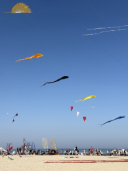 Cervia2026-273