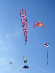 Cervia2026-276