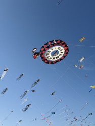 Cervia2026-277