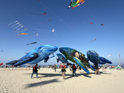 Cervia2026-281