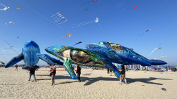 Cervia2026-282