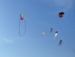 Cervia2026-289