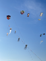Cervia2026-291
