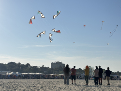 Cervia2026-293
