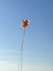 Cervia2026-296